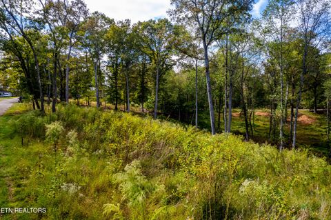 Tiny photo for 116 Overlook Drive, Kingston, TN 37763 (MLS # 1319461)