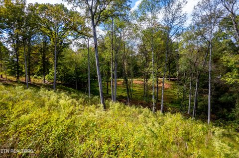 Tiny photo for 116 Overlook Drive, Kingston, TN 37763 (MLS # 1319461)
