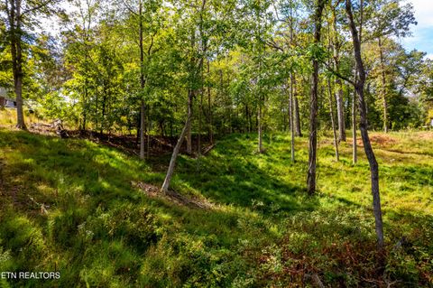 Tiny photo for 116 Overlook Drive, Kingston, TN 37763 (MLS # 1319461)