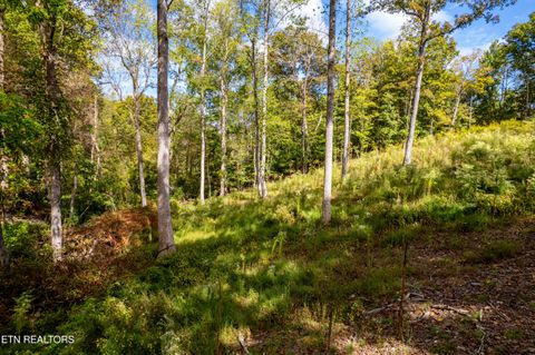 Tiny photo for 116 Overlook Drive, Kingston, TN 37763 (MLS # 1319461)