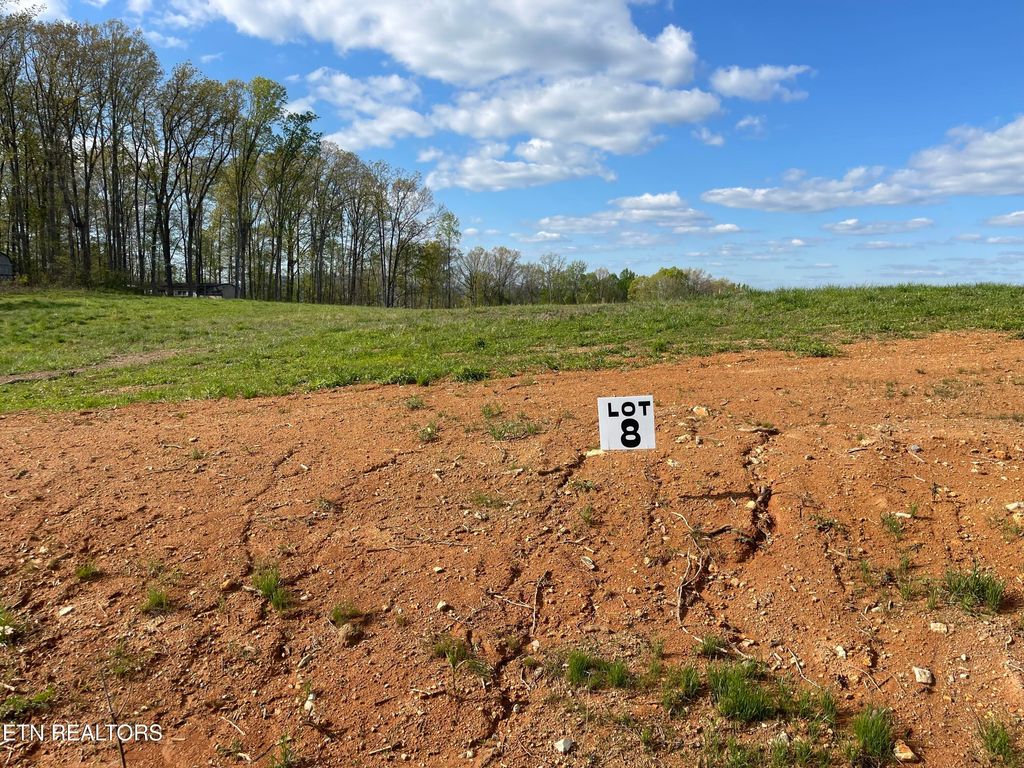 Photo of 8 Laura Boling Loop Rd, Strawberry Plains, TN 37871 (MLS # 1297337)