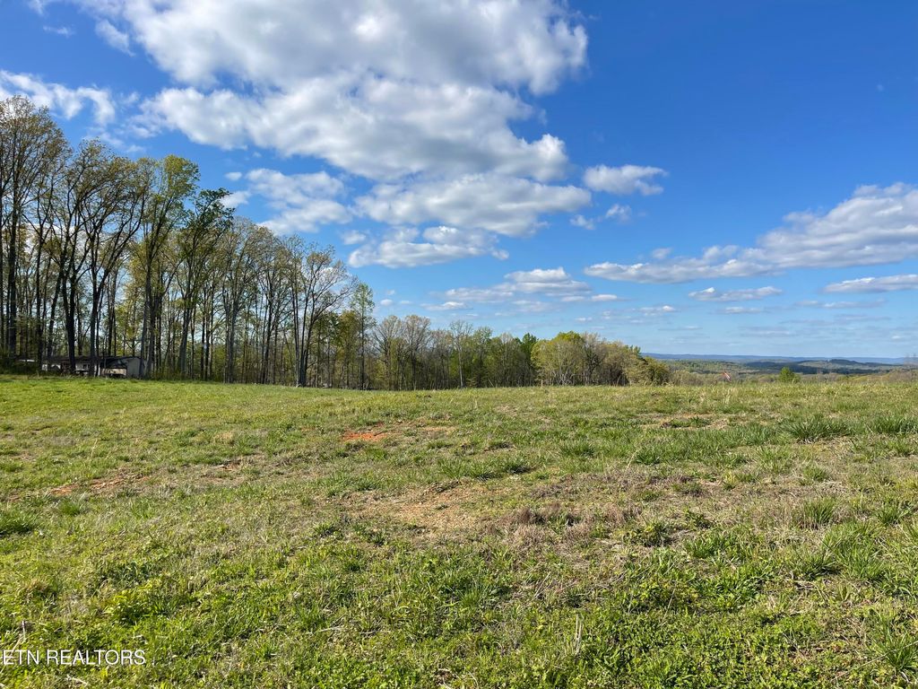 Photo of 8 Laura Boling Loop Rd, Strawberry Plains, TN 37871 (MLS # 1297337)