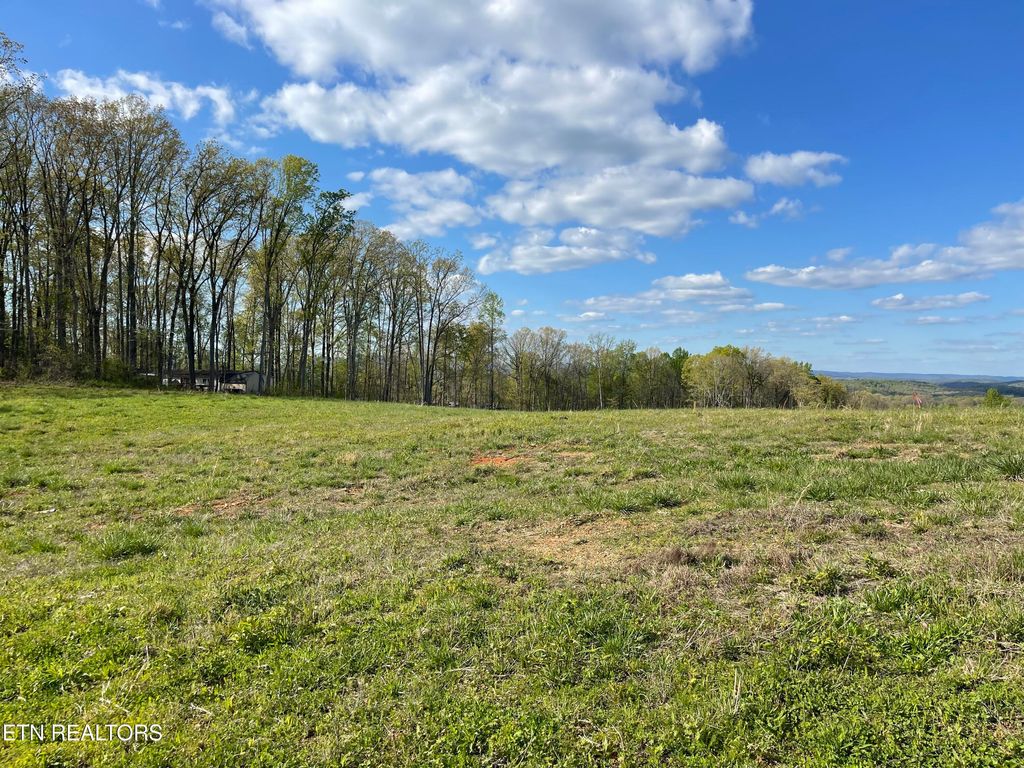 Photo of 8 Laura Boling Loop Rd, Strawberry Plains, TN 37871 (MLS # 1297337)