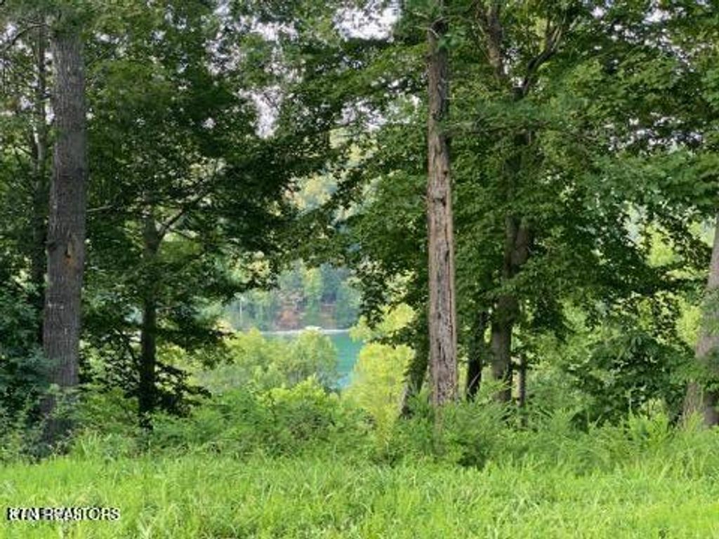 Photo of 220221 Suncrest Cove, LaFollette, TN 37766 (MLS # 1289519)
