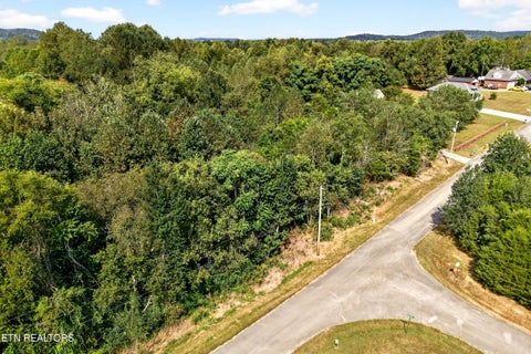Tiny photo for 51 Hidden River Ave, Sparta, TN 38583 (MLS # 1355611)