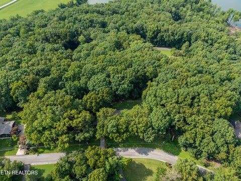 Tiny photo for 167 Rendezvous Rd, Rockwood, TN 37854 (MLS # 1349669)