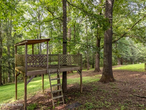 Tiny photo for 167 Rendezvous Rd, Rockwood, TN 37854 (MLS # 1349669)