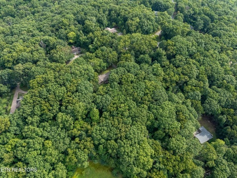 Tiny photo for 167 Rendezvous Rd, Rockwood, TN 37854 (MLS # 1349669)