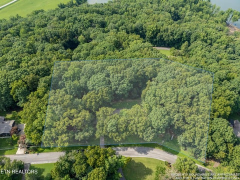 Tiny photo for 167 Rendezvous Rd, Rockwood, TN 37854 (MLS # 1349669)