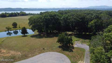 lot 6&7 Ancient Oaks Court White Pine TN 37890