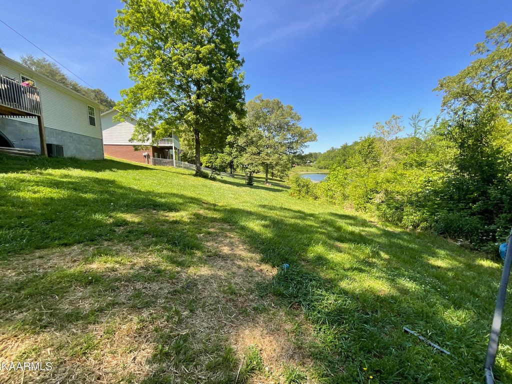 Photo of 238 Wilmore Drive, White Pine, TN 37890 (MLS # 1227005)