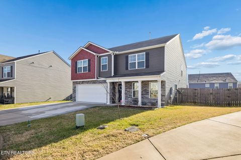 Tiny photo for 9406 Cornflower Lane, Mascot, TN 37806 (MLS # 1326954)