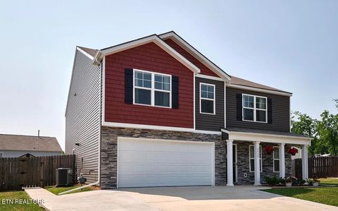 Tiny photo for 9406 Cornflower Lane, Mascot, TN 37806 (MLS # 1326954)