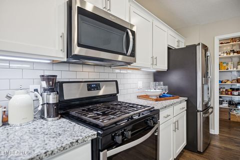 Tiny photo for 9406 Cornflower Lane, Mascot, TN 37806 (MLS # 1326954)