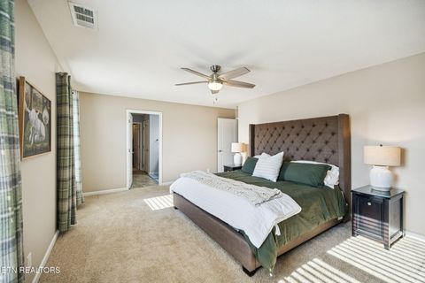 Tiny photo for 9406 Cornflower Lane, Mascot, TN 37806 (MLS # 1326954)