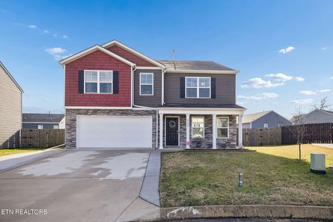 Tiny photo for 9406 Cornflower Lane, Mascot, TN 37806 (MLS # 1326954)