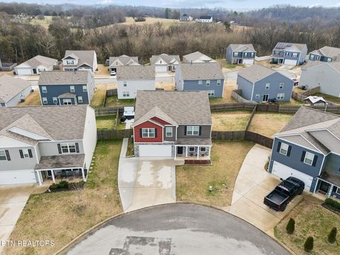 Tiny photo for 9406 Cornflower Lane, Mascot, TN 37806 (MLS # 1326954)