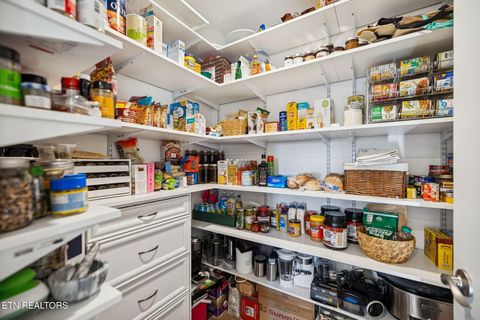 Tiny photo for 9406 Cornflower Lane, Mascot, TN 37806 (MLS # 1326954)