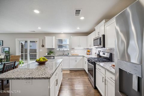 Tiny photo for 9406 Cornflower Lane, Mascot, TN 37806 (MLS # 1326954)