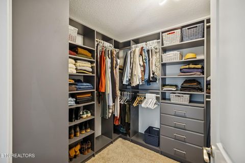 Tiny photo for 9406 Cornflower Lane, Mascot, TN 37806 (MLS # 1326954)