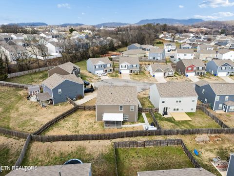 Tiny photo for 9406 Cornflower Lane, Mascot, TN 37806 (MLS # 1326954)