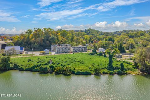 Tiny photo for 1408 Island Home Ave, Knoxville, TN 37920 (MLS # 1326273)