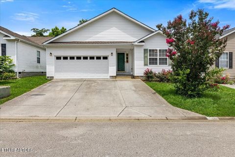 Photo of 10629 Lone Star Way, Knoxville, TN 37932 (MLS # 1347583)