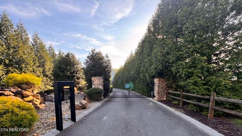 Tiny photo for 147 River Rapids Way, Del Rio, TN 37727 (MLS # 1344741)