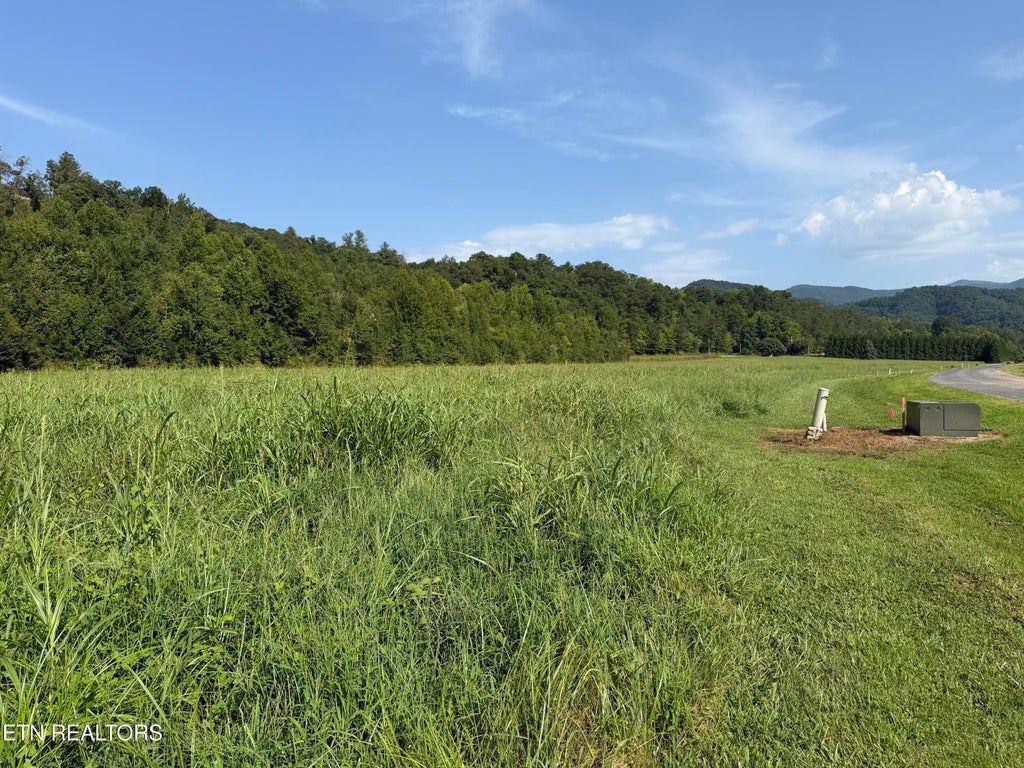 Photo of 147 River Rapids Way, Del Rio, TN 37727 (MLS # 1344741)
