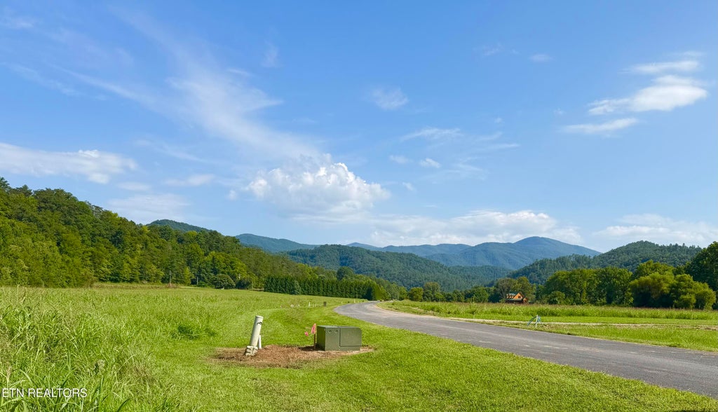 Photo of 147 River Rapids Way, Del Rio, TN 37727 (MLS # 1344741)