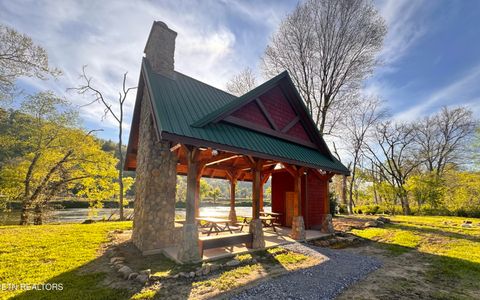 Tiny photo for 147 River Rapids Way, Del Rio, TN 37727 (MLS # 1344741)