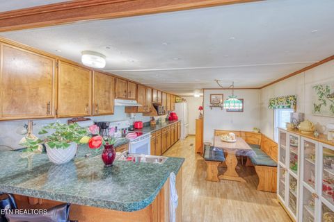 Tiny photo for 219 Davis Rd, LaFollette, TN 37766 (MLS # 1320672)