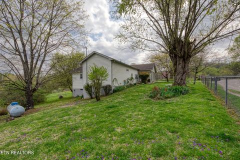 Tiny photo for 219 Davis Rd, LaFollette, TN 37766 (MLS # 1320672)
