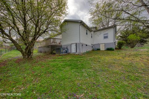 Tiny photo for 219 Davis Rd, LaFollette, TN 37766 (MLS # 1320672)