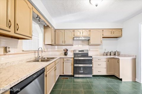Tiny photo for 807 S 8th St, LaFollette, TN 37766 (MLS # 1334447)