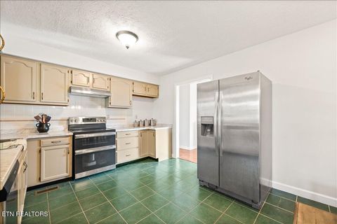 Tiny photo for 807 S 8th St, LaFollette, TN 37766 (MLS # 1334447)