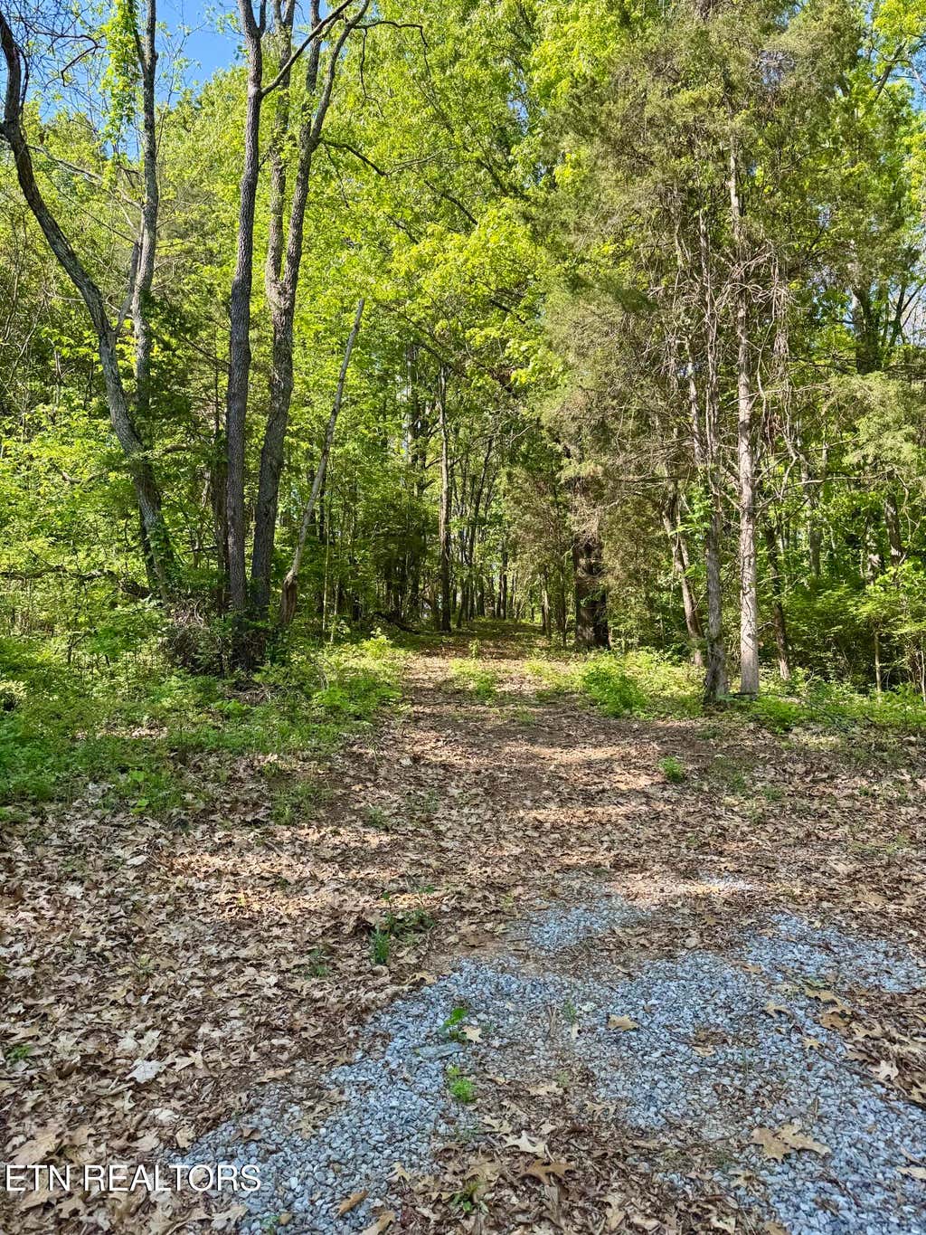 Photo of Carroll Rd, Morristown, TN 37813 (MLS # 1299141)
