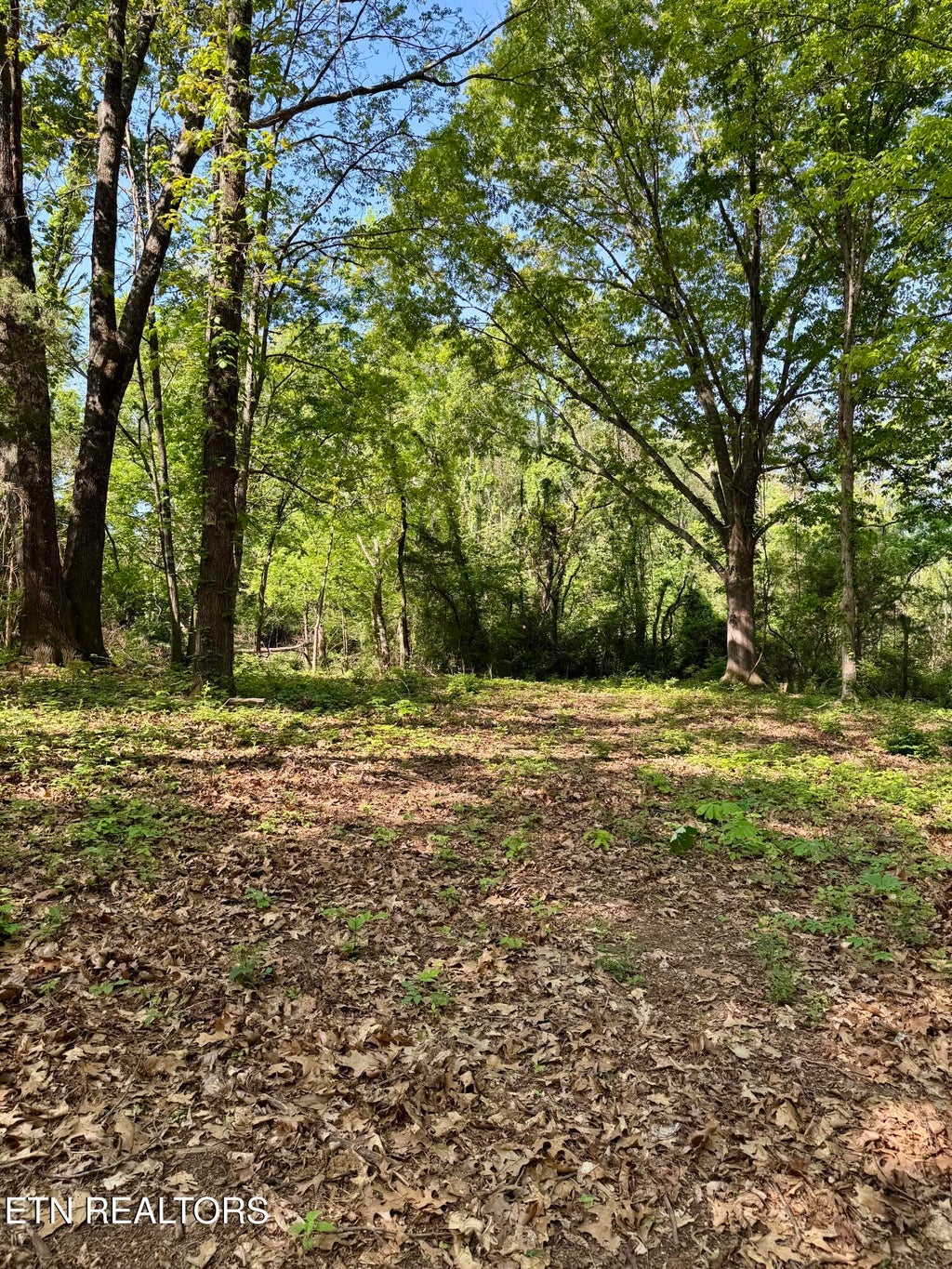 Photo of Carroll Rd, Morristown, TN 37813 (MLS # 1299141)