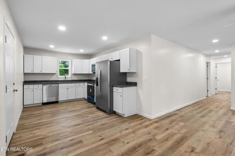 Tiny photo for 410 W Hemlock St, LaFollette, TN 37766 (MLS # 1341918)