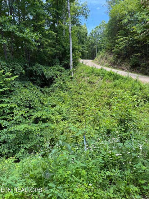 Photo of Butternut Lane, Sevierville, TN 37876 (MLS # 1345131)