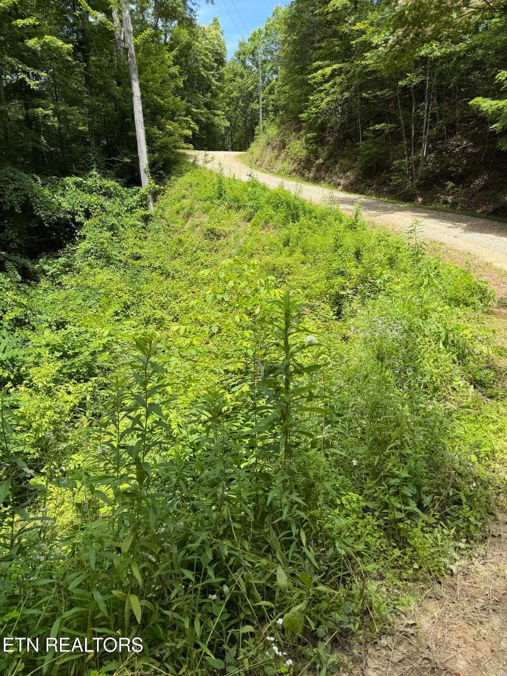 Photo of Butternut Lane, Sevierville, TN 37876 (MLS # 1345131)