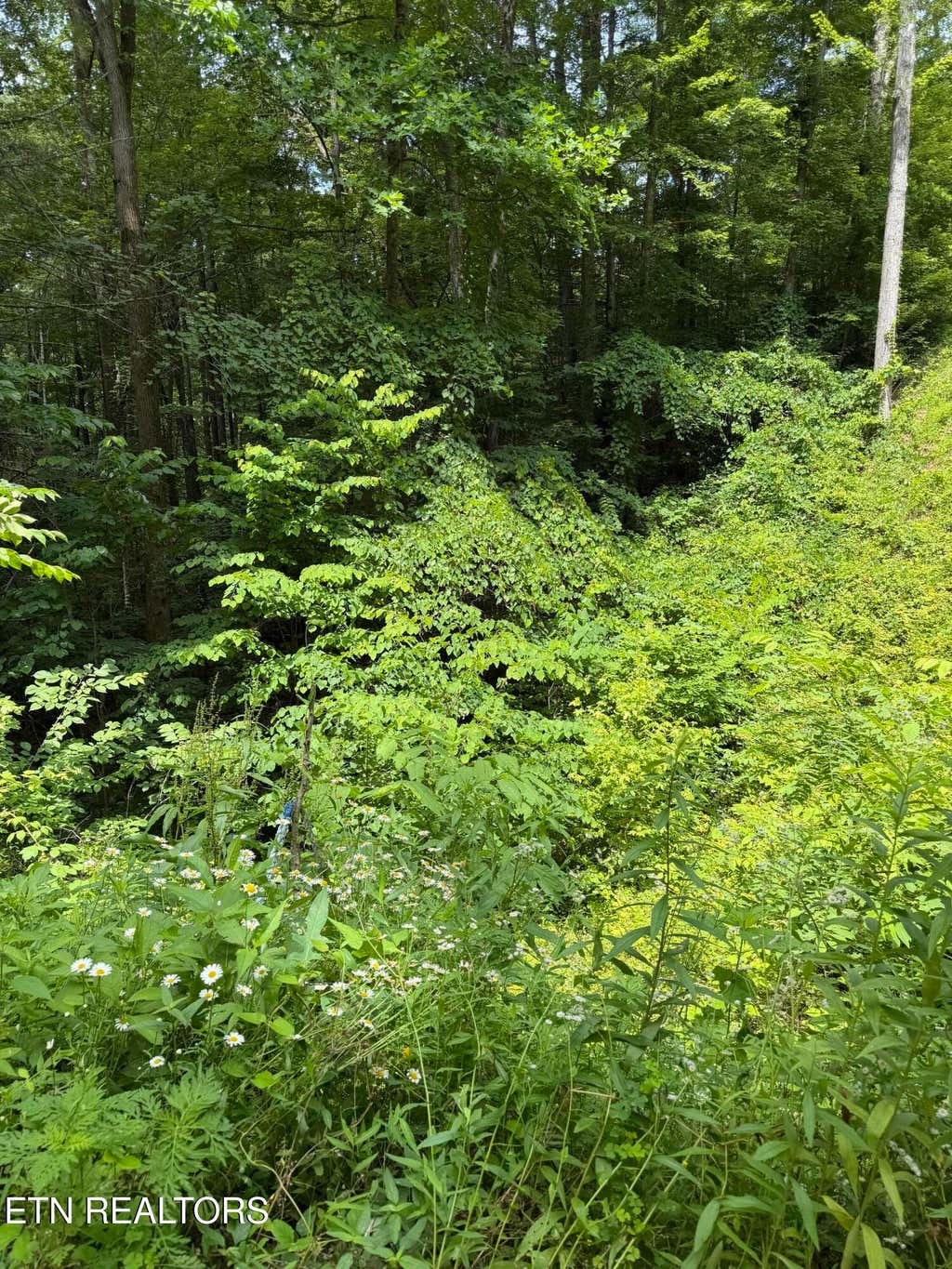 Photo of Butternut Lane, Sevierville, TN 37876 (MLS # 1345131)