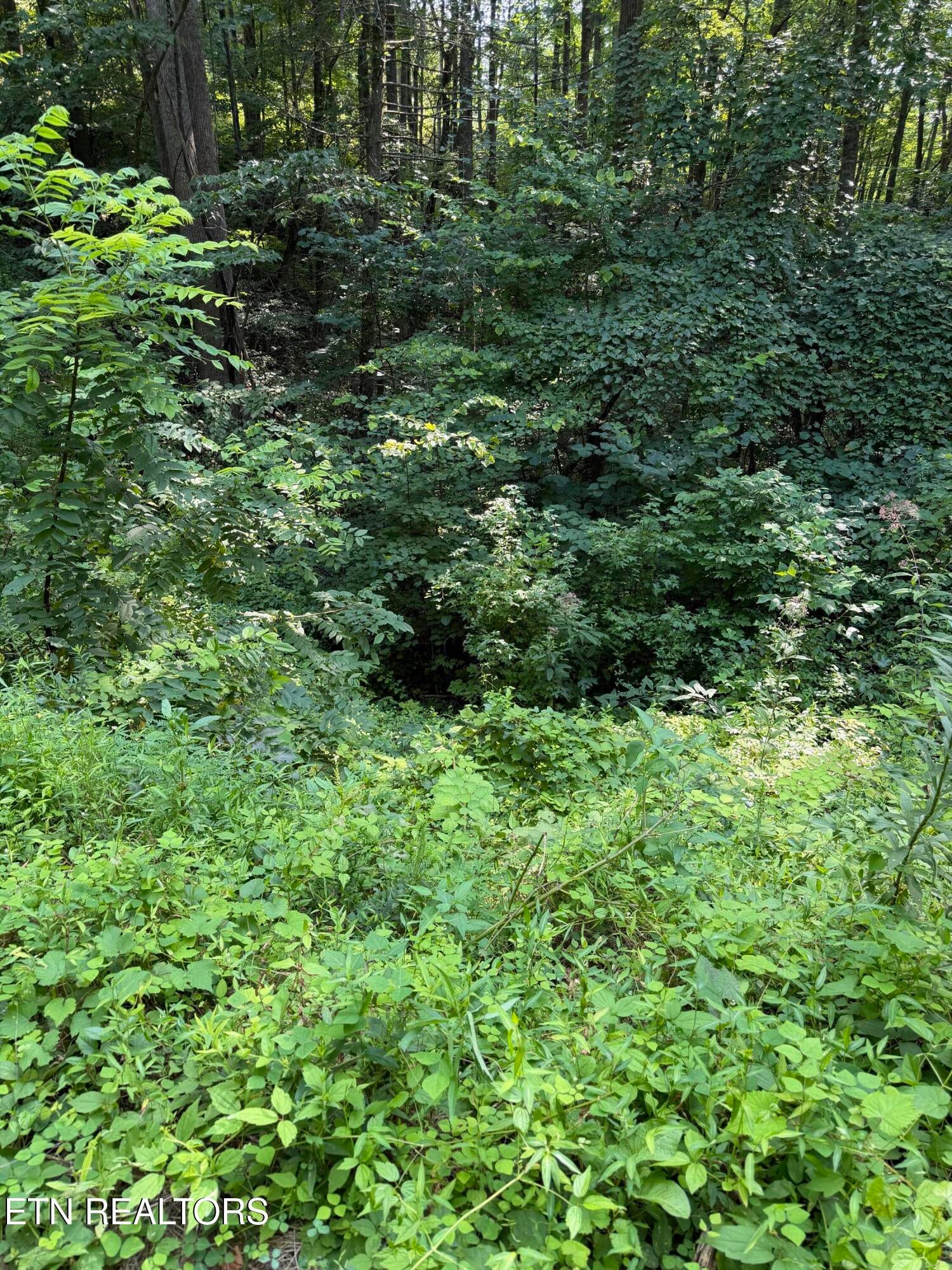 Lot 56 Butternut Lane