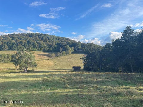 Tiny photo for 1380 Conrad Templeton Rd, Quebeck, TN 38579 (MLS # 1357641)