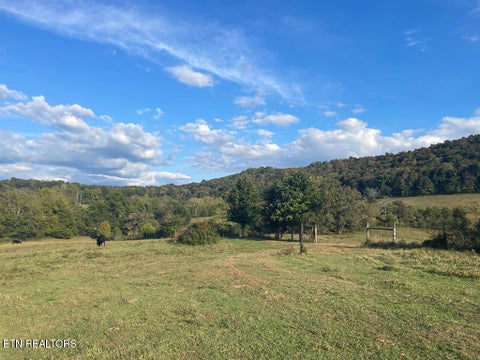Tiny photo for 1380 Conrad Templeton Rd, Quebeck, TN 38579 (MLS # 1357641)