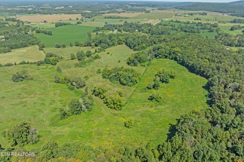 Tiny photo for 1380 Conrad Templeton Rd, Quebeck, TN 38579 (MLS # 1357641)