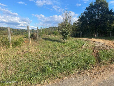 Tiny photo for 1380 Conrad Templeton Rd, Quebeck, TN 38579 (MLS # 1357641)
