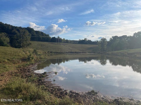 Photo of 1380 Conrad Templeton Rd, Quebeck, TN 38579 (MLS # 1357641)