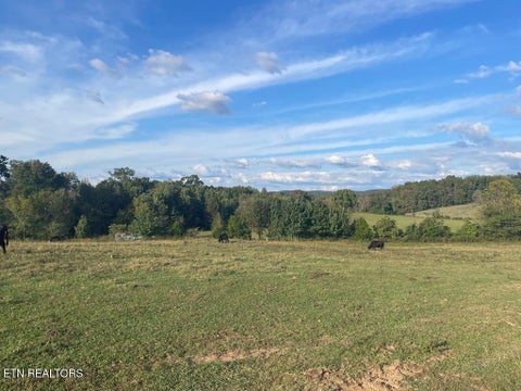 Tiny photo for 1380 Conrad Templeton Rd, Quebeck, TN 38579 (MLS # 1357641)