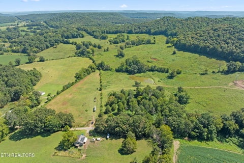 Tiny photo for 1380 Conrad Templeton Rd, Quebeck, TN 38579 (MLS # 1357641)
